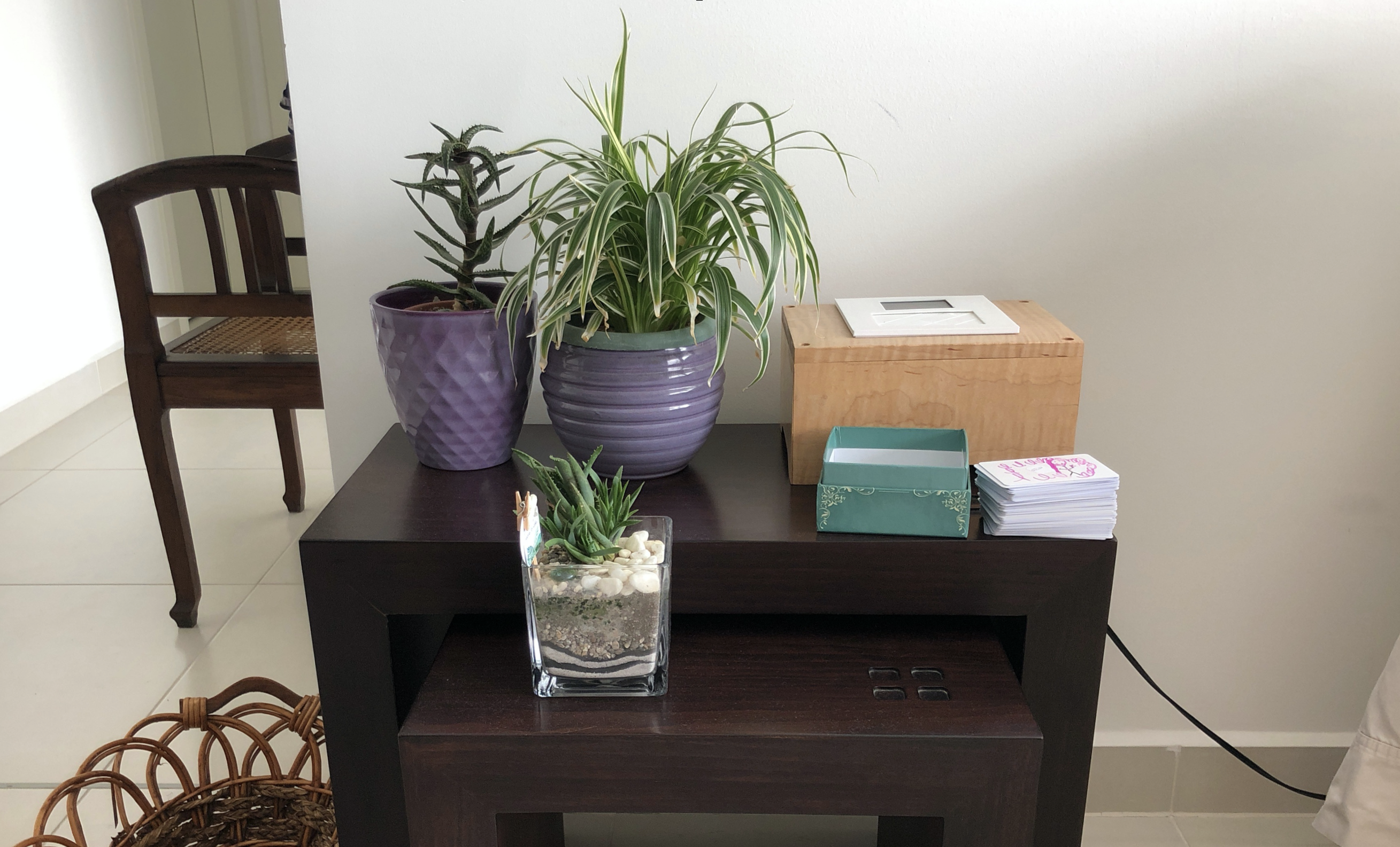 A FamilySong box in a participant’s living room, with CardSongs stacked beside it among decorative plants